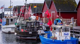 Kaum neue Einschränkungen für Ostsee-Fischer - Backhaus froh