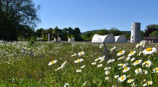 Zwei Jahre nach der LGS in Höxter: So läuft der Huxarium-Gartenpark