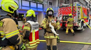 Paderborner Feuerwehr rettet zehn Katzen aus brennender Wohnung