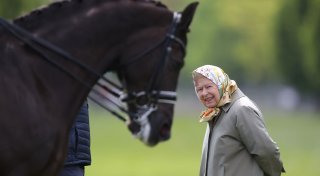 Dressur: Reitsportwelt trauert um Ausnahmepferd Valegro