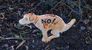 Hundekot auf Gräbern? Die Reaktionen der Bielefelder Leserschaft