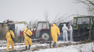 Maul- und Klauenseuche ausgebrochen - Krisenstäbe im Einsatz