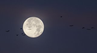 Letzter Vollmond des Jahres: Mythen und Fakten