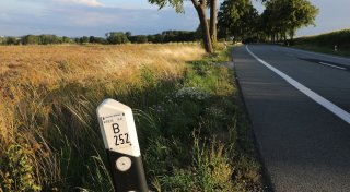 Werden jetzt 99 Bäume gefällt? Straßenprojekt bei Warburg kommt nicht voran