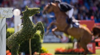 Reit-WM 2026 in Aachen: Dressur vor 35.000 Menschen