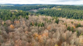 Natur als Verbündete: Was Schneider beim Klimaschutz plant