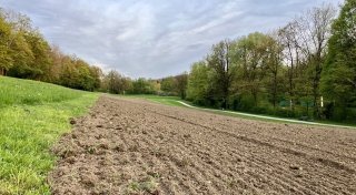 Pfefferspray-Attacke an Bielefelder Hundewiese: Täter mit auffälligen Augen gesucht