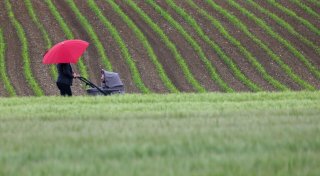 Wettermix am Feiertag - zum Wochenende wärmer