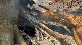 Waldbrand am Kaiser-Wilhelm-Denkmal in Porta Westfalica