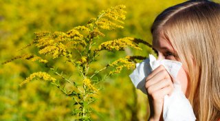Start der Pollensaison lässt Gütersloher leiden: Die besten Expertentipps für Allergiker