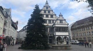 Kurios: Weihnachtsbaum vor dem Paderborner Rathaus ist nur die zweite Wahl
