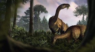 Kot- und Darm-Fossilien beschreiben Aufstieg der Dinosaurier