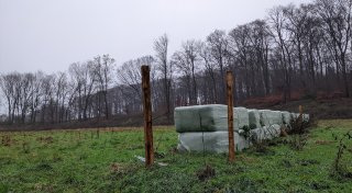 Illegal erweiterte Reitanlage im Kreis Gütersloh: Behandelte Weidezäune sind abgebaut