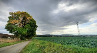 Stadt Nieheim beteiligt sich an Windpark - aber nur ein bisschen