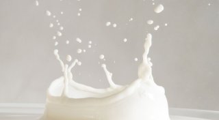 Hype-Getränk: Wer besser keine Rohmilch trinken sollte
