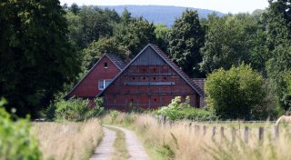 Tierschützer schockiert über Zustände auf vermeintlichem Gnadenhof in Porta