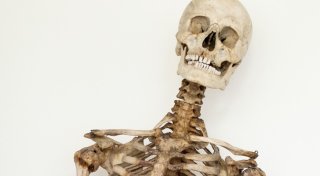 So flog die Skelett-Verwechslung beim Schinderhannes auf