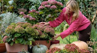 Willkommen Herbst! Jetzt den Eingangsbereich schmücken