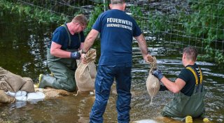 Oder-Region in Alarmstimmung - Helfer im Dauereinsatz