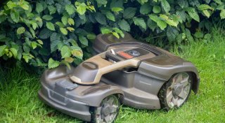 Zum Schutz der Igel: Steinheim will nächtliches Fahrverbot für Mähroboter
