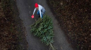 Weihnachtsbäume in Bielefeld: Wann werden sie abgeholt?