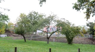 Stemweder Ponystall: Abgrabung ist genehmigungspflichtig