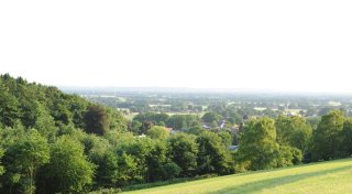 Leiche im Stemweder Berg gefunden