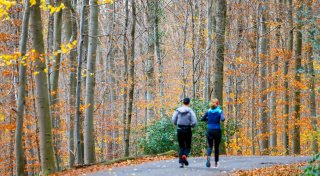 Wochenende wird vielerorts sonnig - Nachtfrost im Osten