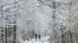 Wetter in der neuen Woche: Chance auf ersten Schnee in Ostwestfalen-Lippe