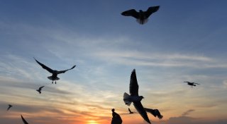 Sommerurlaub gefragt: Dertour meldet starkes Buchungsplus
