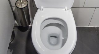 Wonderland-Festival in Stemwede: 25-Jährige schummelt bei Urinprobe mit Spülwasser