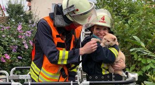 Im Brandfall: So setzt sich die Feuerwehr Bünde für Haustiere ein