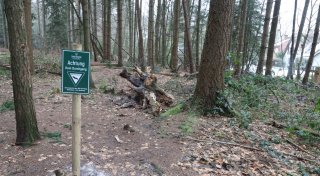 Waldbesucher ignorieren Regeln: Drastische Maßnahme ärgert Anwohner im Kreis Gütersloh