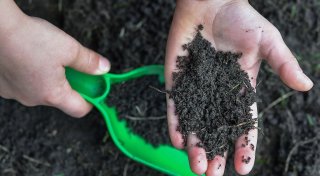Was ist es genau?: So bestimmen Sie Ihren Gartenboden selbst