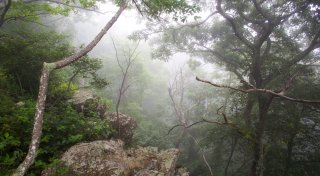 Trump: Nationalparks werden für ausländische Besucher teurer