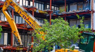 Bei H&M-Abriss in Herford: Fassadenteil löst sich und fällt auf Kirschbaum