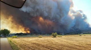 Eine Tote bei Vegetationsbrand in Frankreich