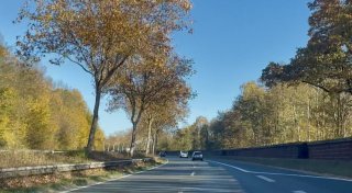 Das Wichtigste aus Bielefeld: Spureinzug OWD, Kaufland eröffnet, Betrug bei Kleinanzeigen