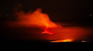 Waldbrände: Auch Portugal bittet um EU-Hilfe
