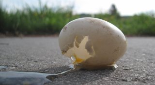 Unbekannte werfen 40 Eier auf Grundschule im Kreis Paderborn