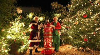 Zauberhaft: Grundstück in Lübbecke verwandelt sich in Weihnachtswelt