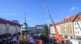 Vorerst keine Genehmigung für Magdeburger Weihnachtsmarkt