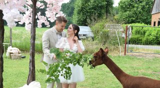 Neue Hochzeits-Location im Kreis Gütersloh: Paar heiratet mit tierischer Begleitung