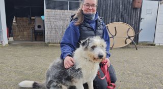 Eine Villa für Hunde: Neues Tierheim für Höxter und Holzminden wird gebaut