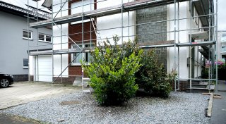 Strafen für Schottergärten bleiben aus: Warum in Lübbecke nicht durchgegriffen wird