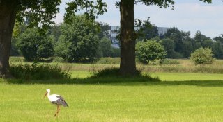 Rahdens Bürgermeister sieht Windräder auf Stadtgrundstücken kritisch