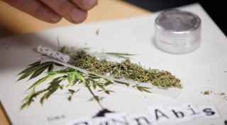 Cannabis-Legalisierung: Wie laufen die Kontrollen in Paderborn ab?