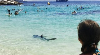 Nach schwerer Hai-Attacke: Deutsche Touristin stirbt auf Gran Canaria