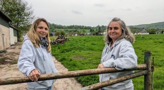 Neues Tierheim für Pferde und Esel im Kreis Höxter