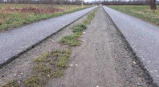 Naturschützer kritisieren geplanten Radweg zwischen Bünde und Kirchlengern